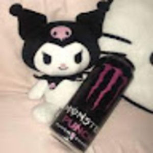 Meet your Posher, Echo